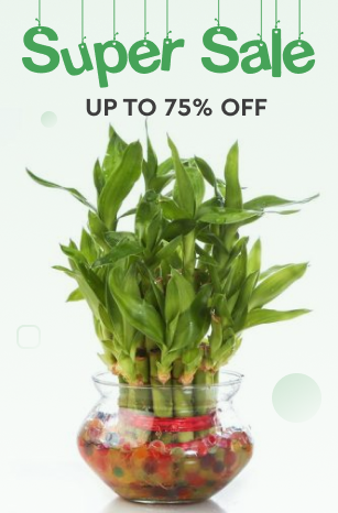 Sale banner